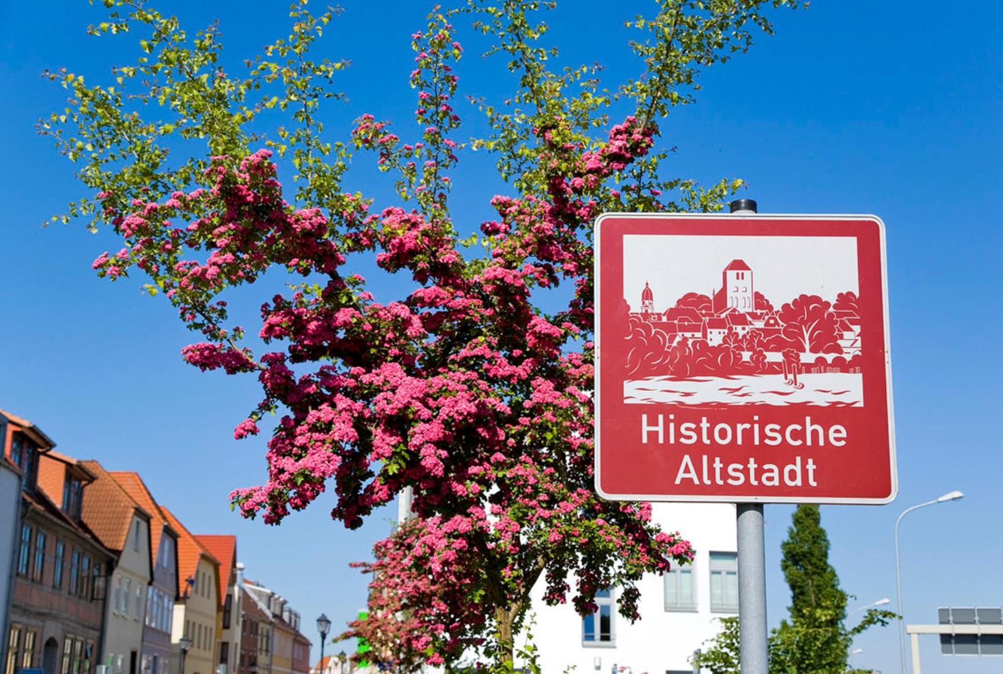 Ferienwohnung Am Muehlenberg Waren  Exterior photo